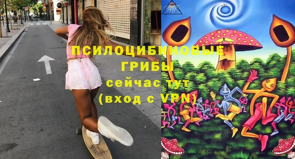а пвп мука Няндома