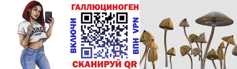 купить наркотик  Евпатория  Псилоцибиновые грибы прущие грибы 