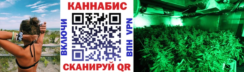 мориарти какой сайт  продажа наркотиков  Евпатория  Шишки марихуана гибрид 